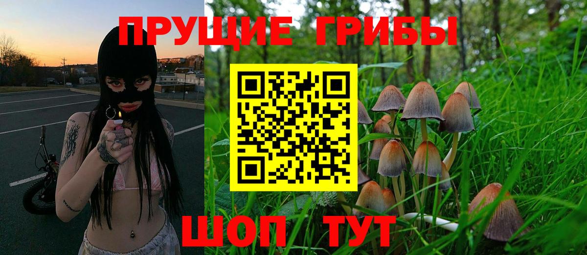 Псилоцибиновые грибы прущие грибы  Псилоцибиновые грибы мицелий  Вход с VPN  Киров 
